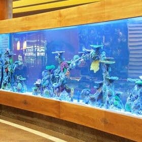 A complete aquarium designer company