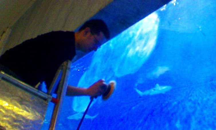 Tde provides complete maintenance services for aquariums