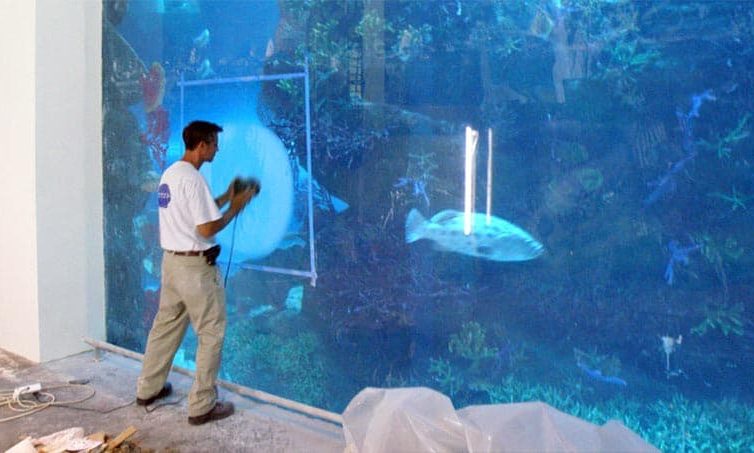 Large aquarium maintenance