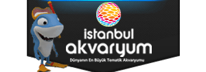 İstanbul akvaryum - turkey